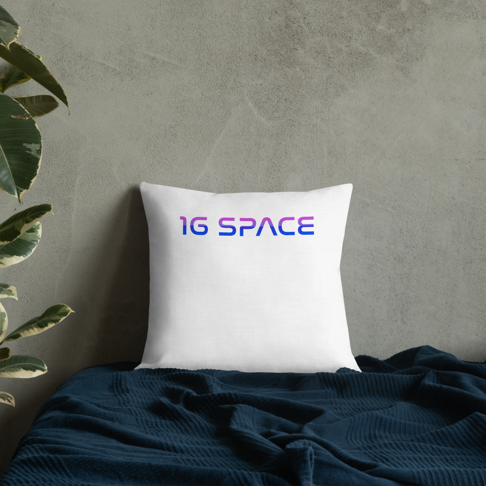 1gSpace Pillow