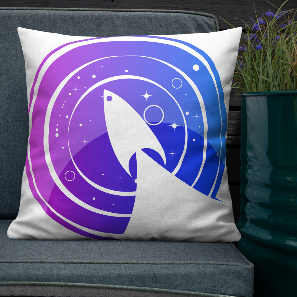 1gSpace Pillow
