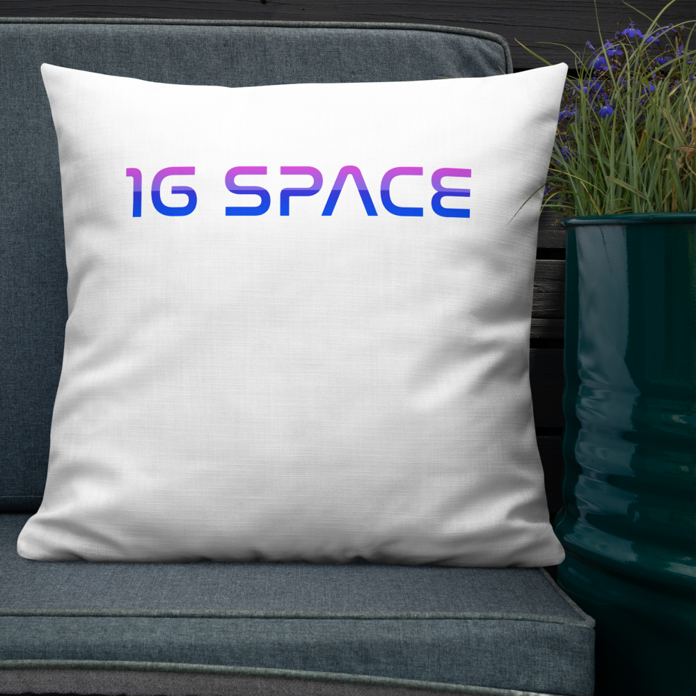 1gSpace Pillow