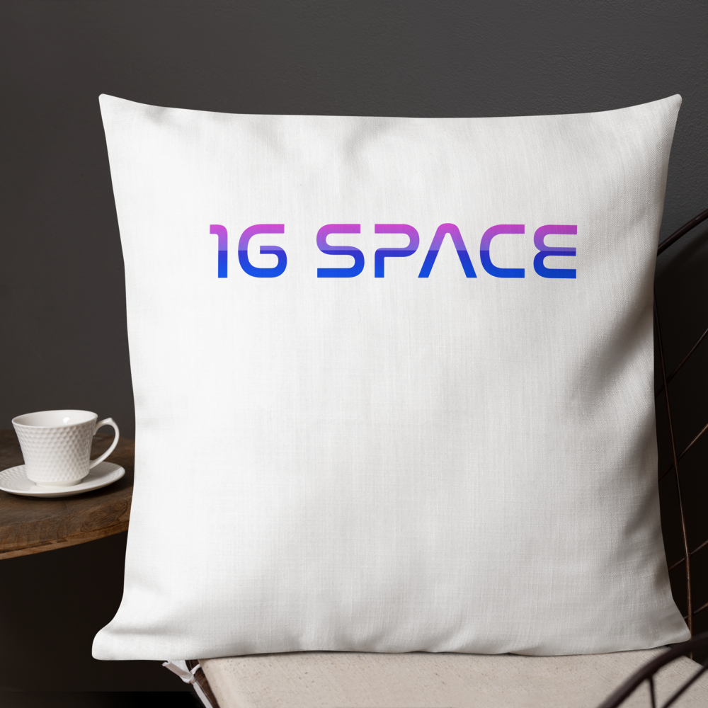 1gSpace Pillow