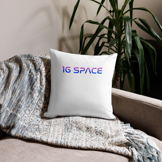 1gSpace Pillow